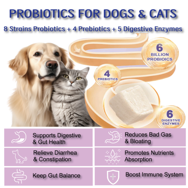 Functions of Probiotic Ingredients in Multivitamin for Dogs & Cats