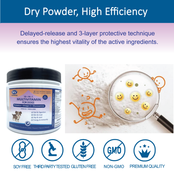 Dry Powder Ensures High Efficientcy of Multivitamin for Dogs & Cats