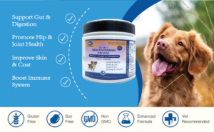 Key Functions of Natriviga's Multivitamin for Dogs & Cats.
