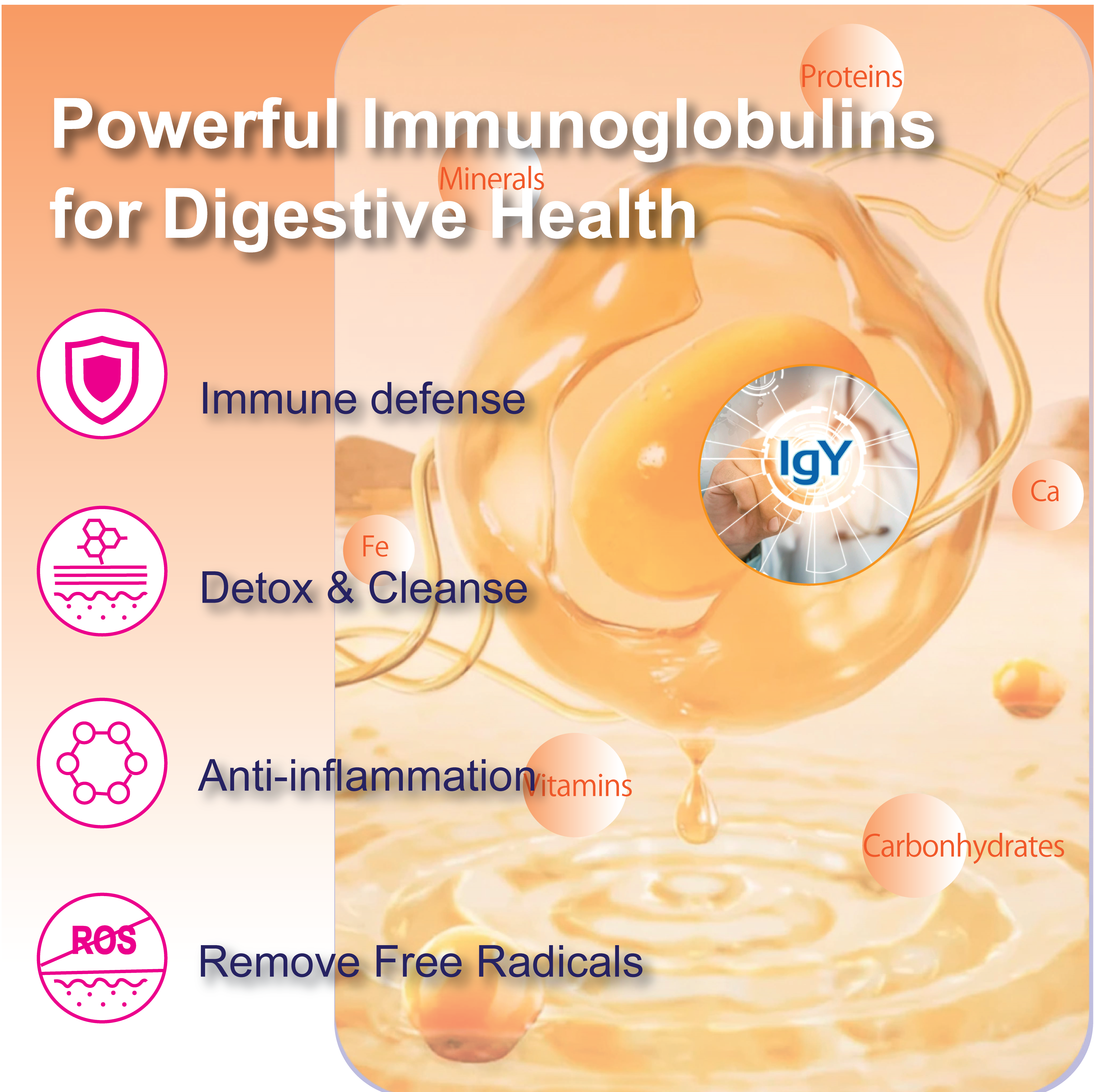 Natriviga HeliClear IgY Capsules for Everyone's Gut Health, Key Benefits.