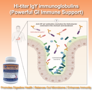 Natriviga HeliClear IgY Neutralized H.pylori in gut.