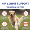 Powerful Hip & Joint Support of Natriviga's Glucosamine for Dogs & Cats