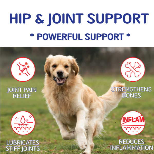 Powerful Hip & Joint Support of Natriviga's Glucosamine for Dogs & Cats