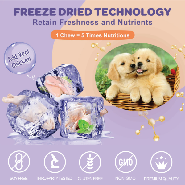 Natriviga Probiotics for Dogs, a supplement for digestive health using Freeze-dry Technology.