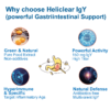 Heliclear IgY - Powerful Gastrointestinal Support