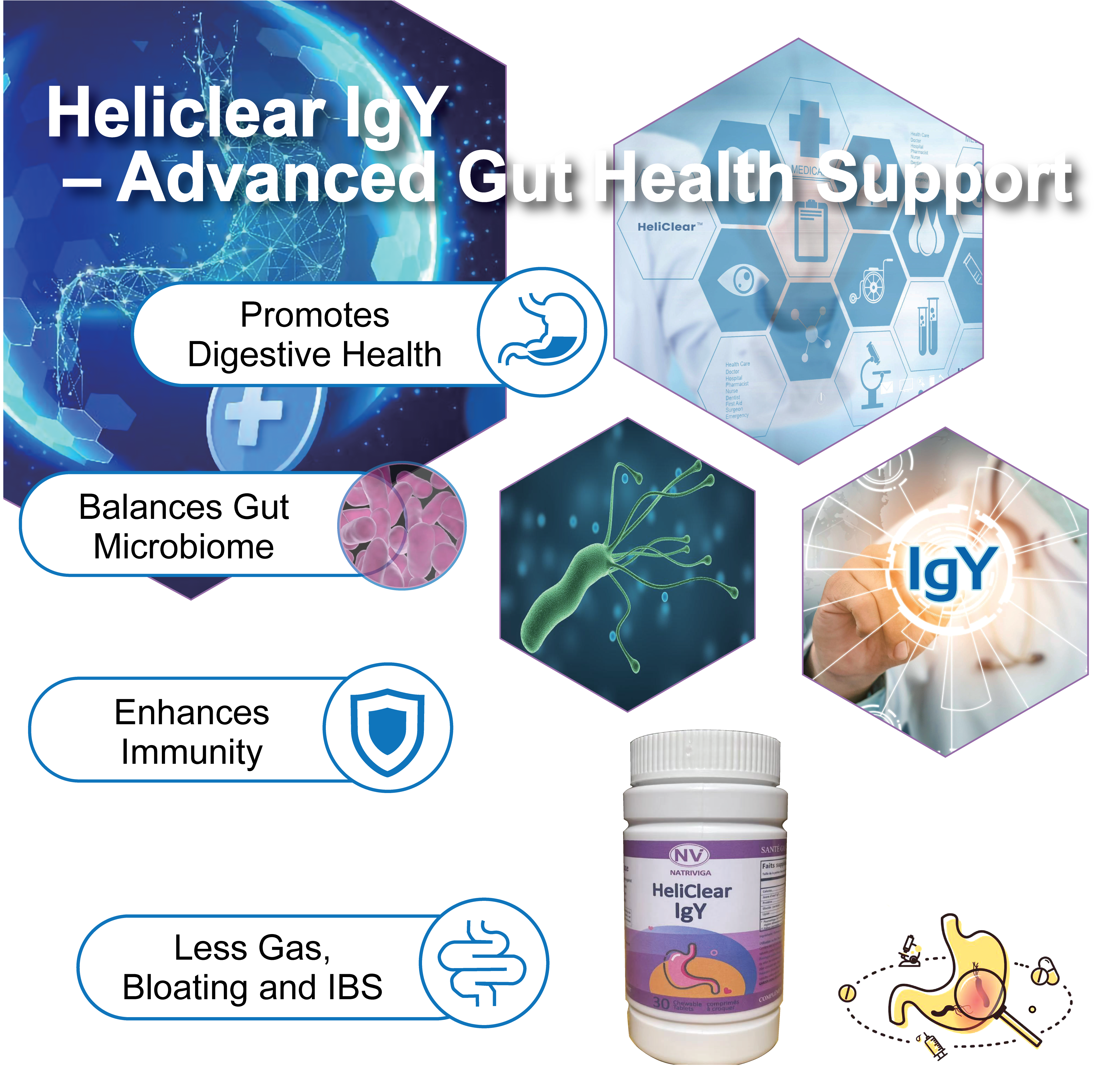 Heliclear IgY - Advanced Gut Health Support & Key Functions