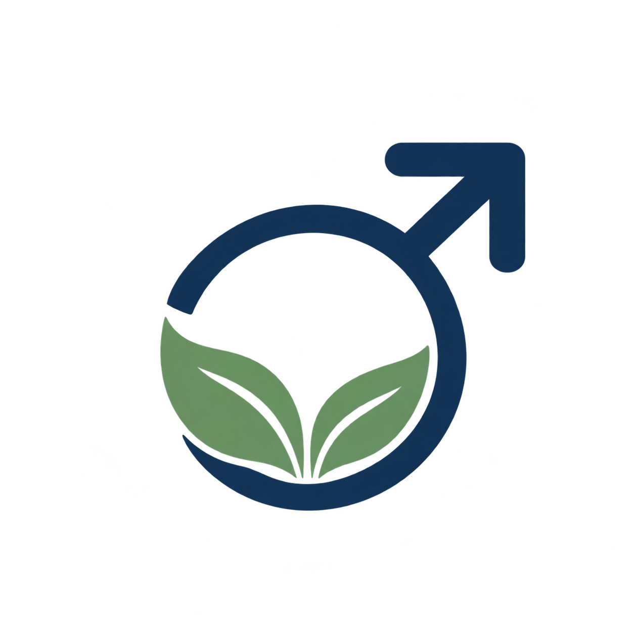 Men's Wellness