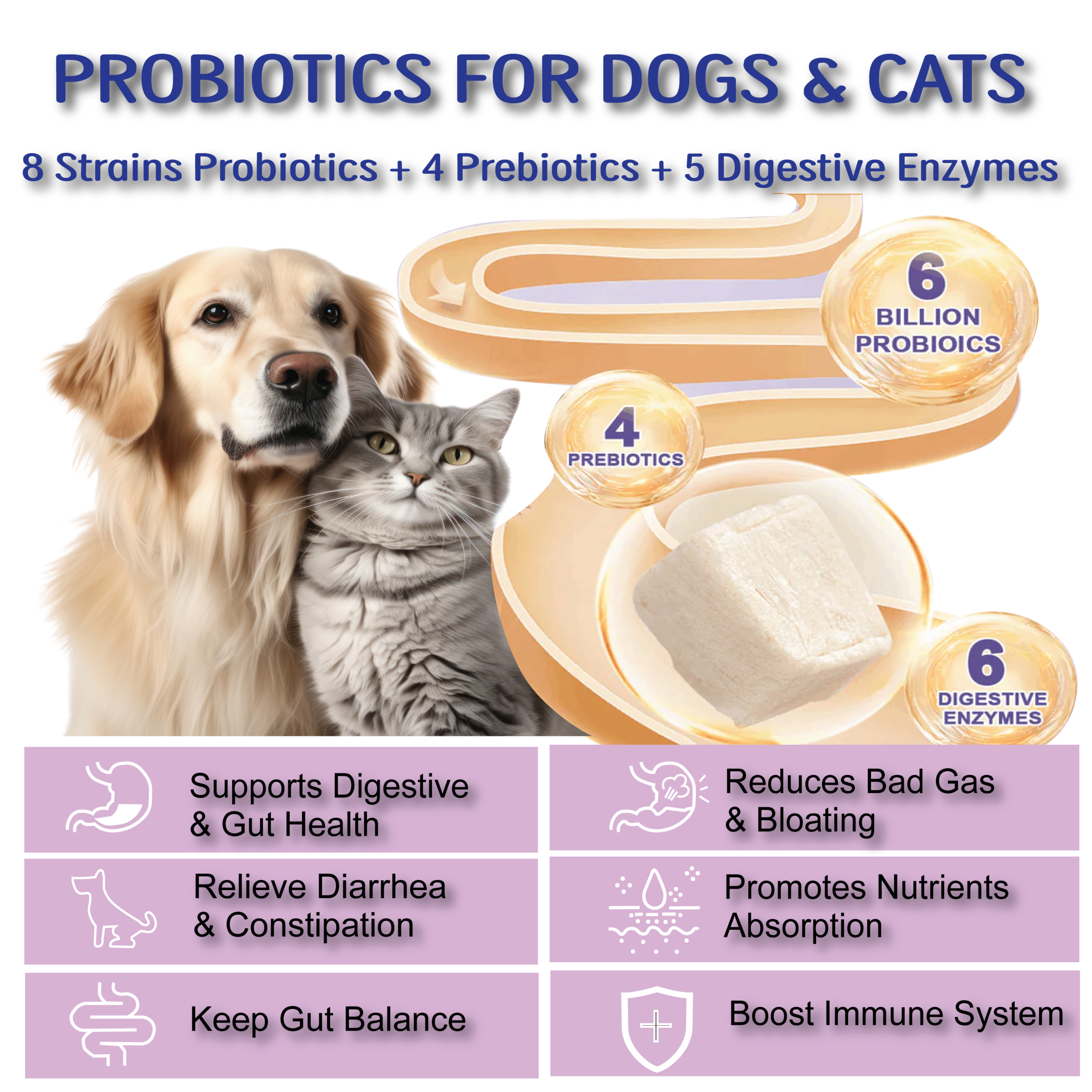 Functions of Probiotic Ingredients in Multivitamin for Dogs & Cats