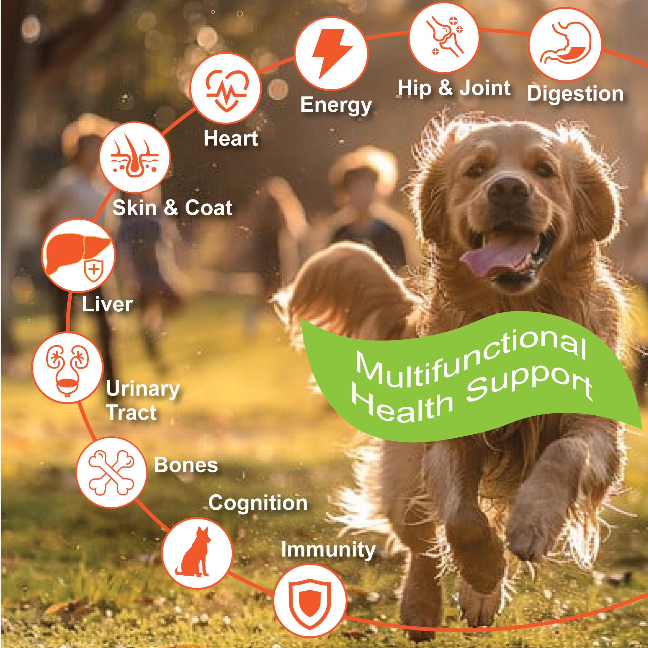 Multifunctional Health Supports of Multivitamin for Dogs & Cats