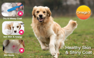 Skin & Coat Health support from Omega3 in Natriviga's Multivitamin for Dogs & Cats
