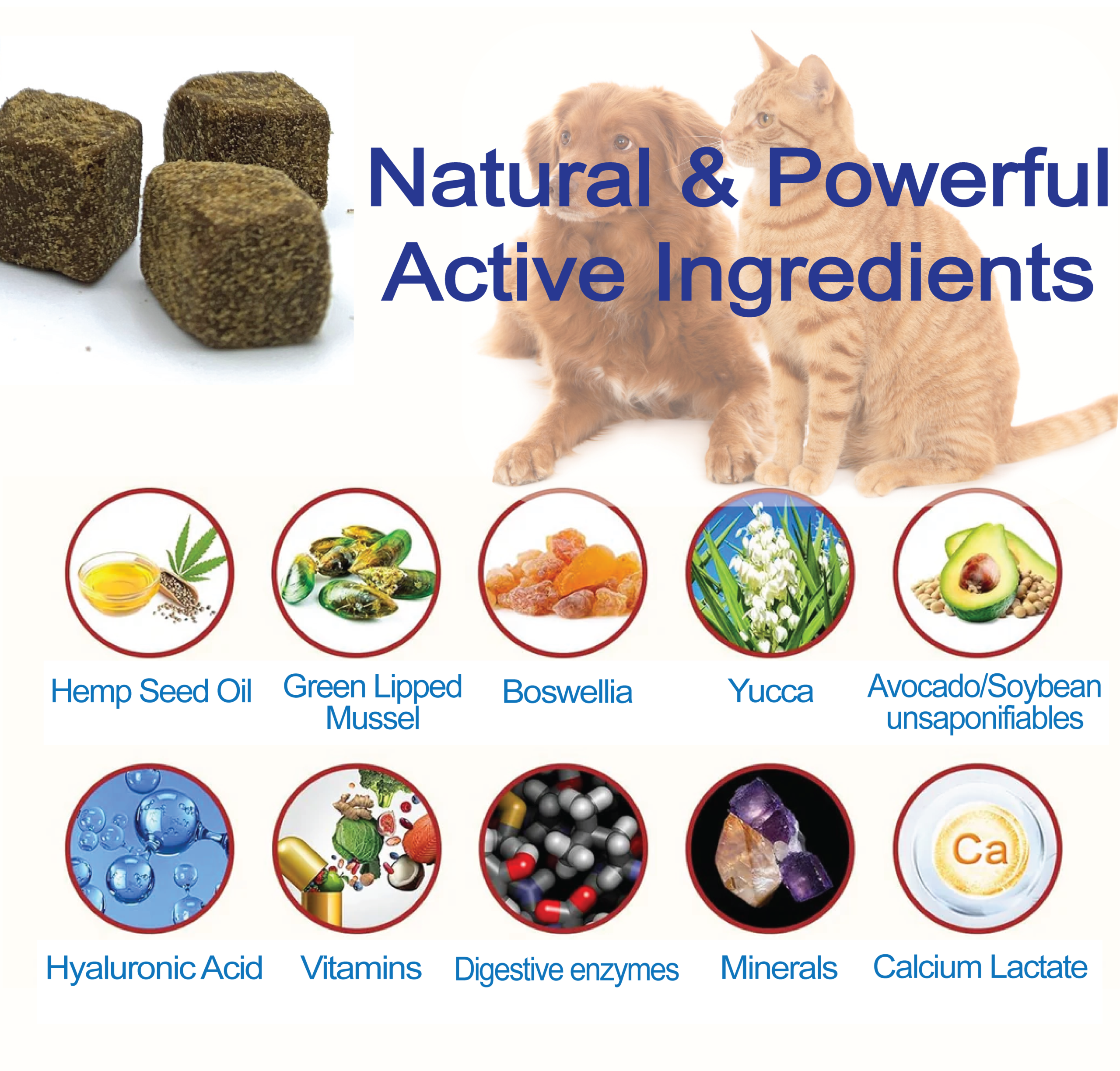 Natural & Powerful Active Ingredients of Natriviga's glucosamin for Dogs & Cats