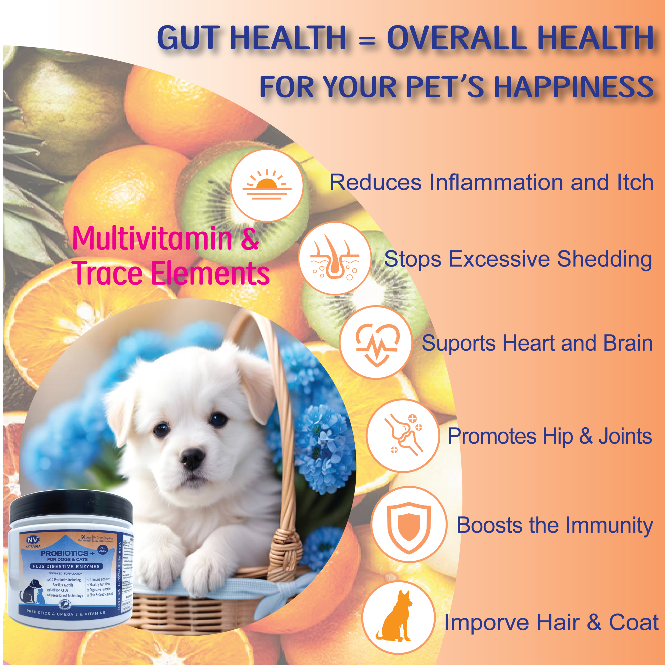 Natriviga Probiotics for Dogs, a supplement for digestive health.
