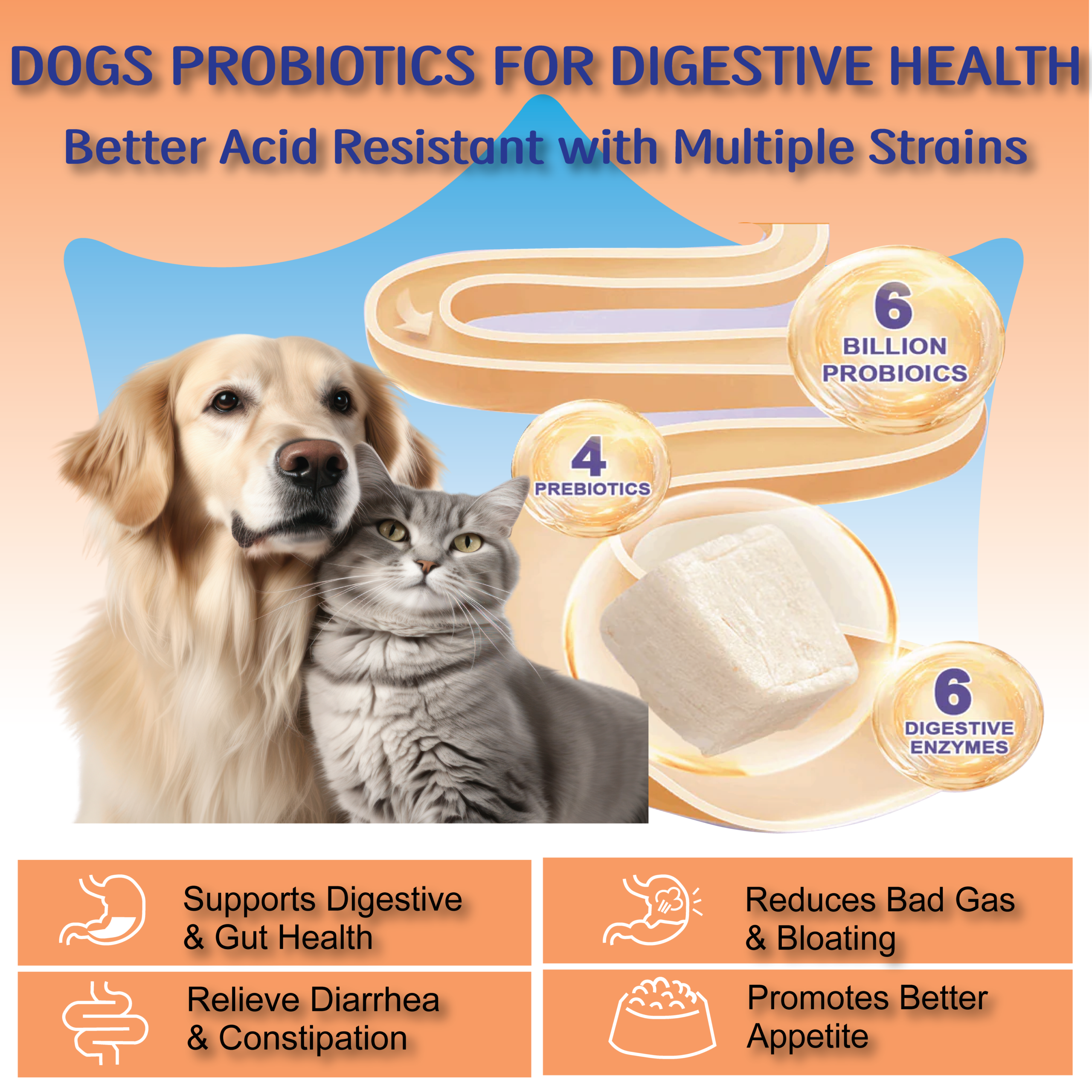 Natriviga Probiotics for Dogs, a supplement for digestive health.