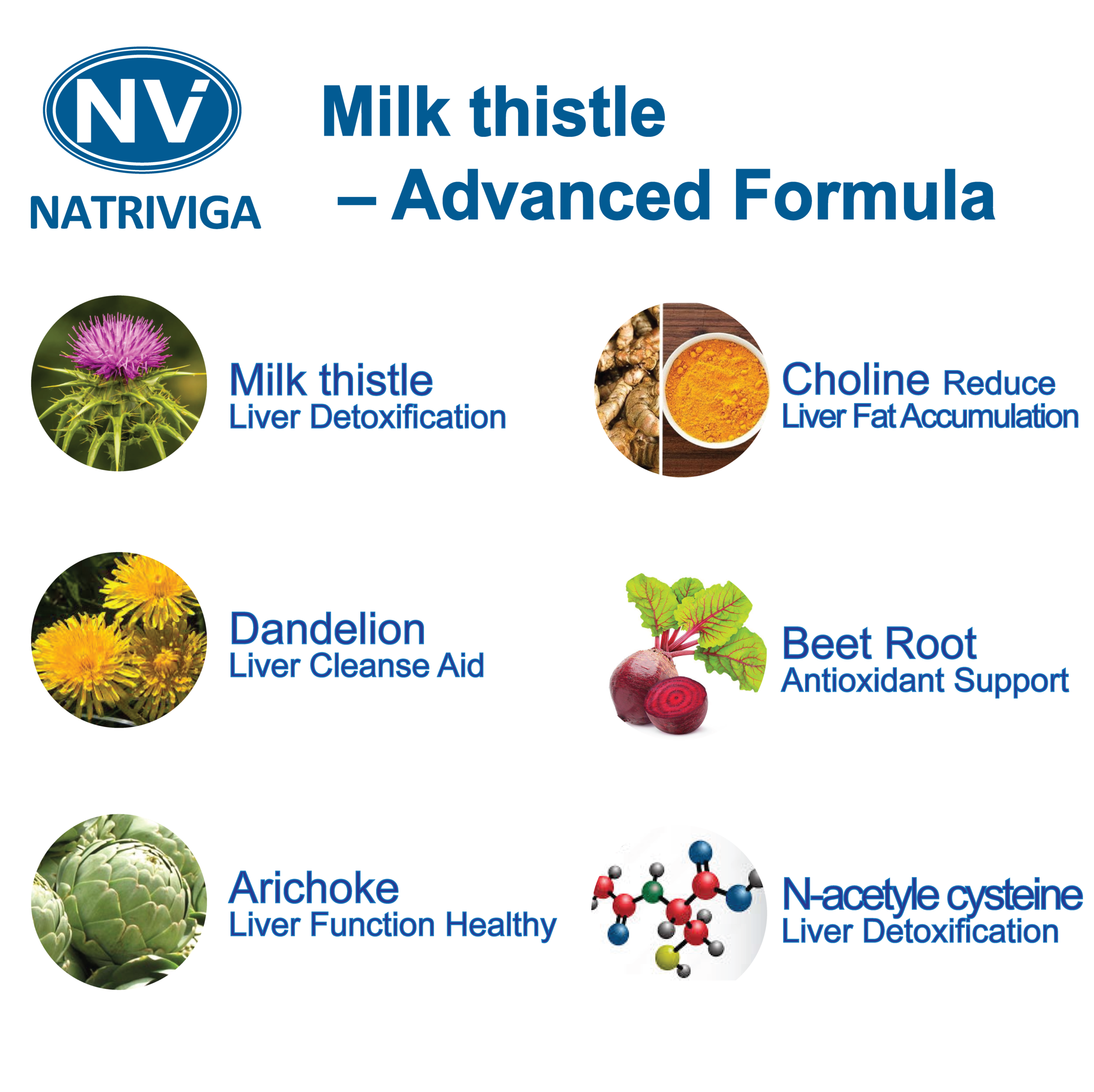 Key factors and benefits of Natriviga Milk thistle Capsules for liver health support.