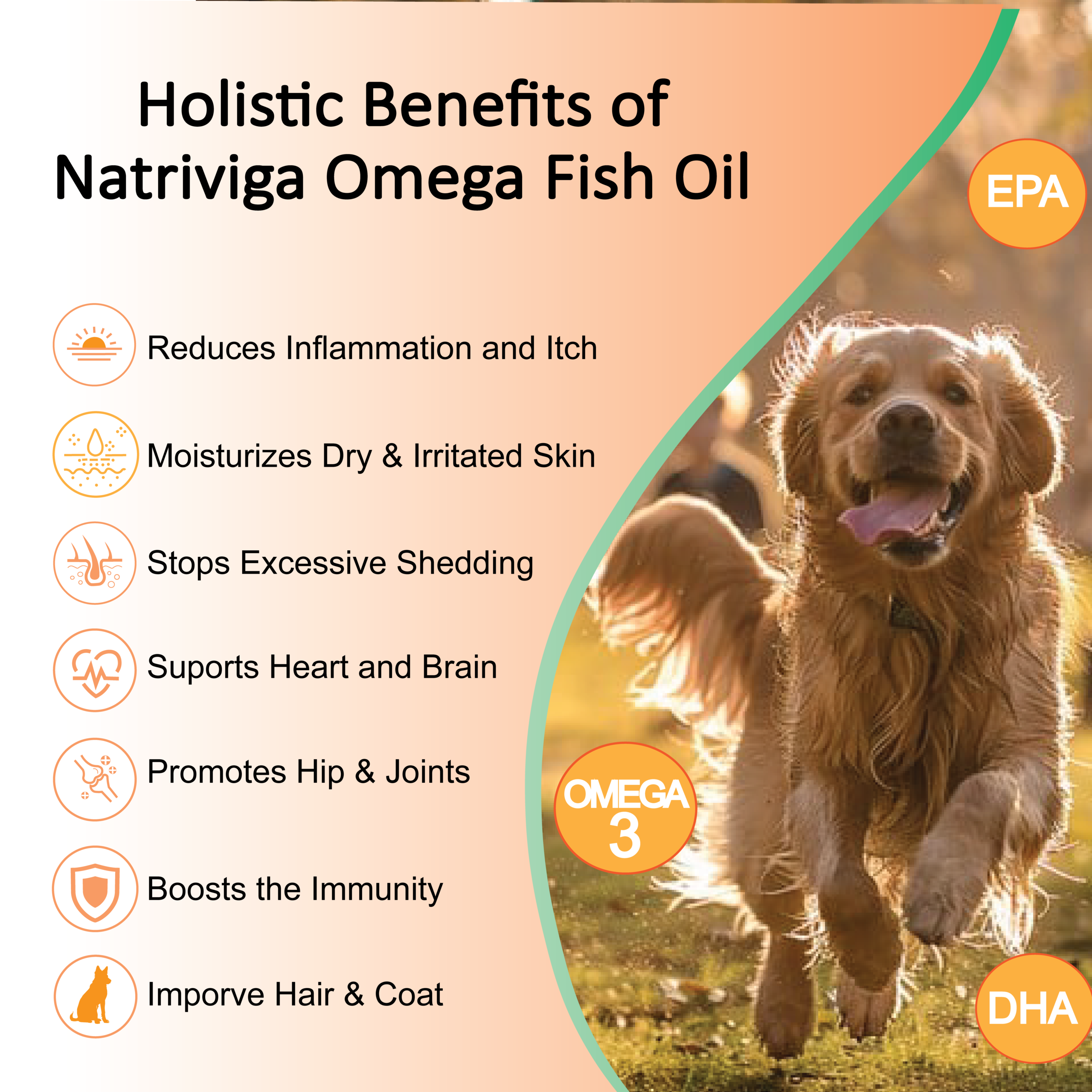 The image features the benefits of Natriviga's Omega 3, 6, 9 for Dogs, formulated to support overall canine health. This supplement provides essential fatty acids that promote healthy skin, a shiny coat, and optimal joint function. Ideal for pet owners looking to enhance their dog's diet and improve their quality of life.
