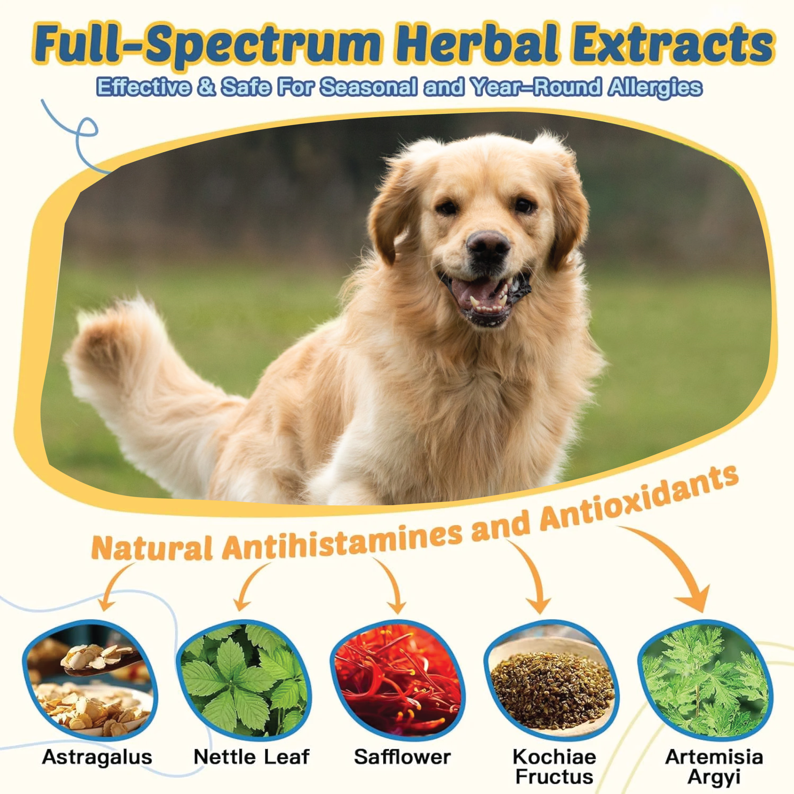 The image features the benefits of Natriviga's Omega 3, 6, 9 for Dogs, formulated to support overall canine health. This supplement provides essential fatty acids that promote healthy skin, a shiny coat, and optimal joint function. Ideal for pet owners looking to enhance their dog's diet and improve their quality of life.
