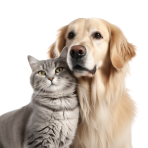 Pet Use
