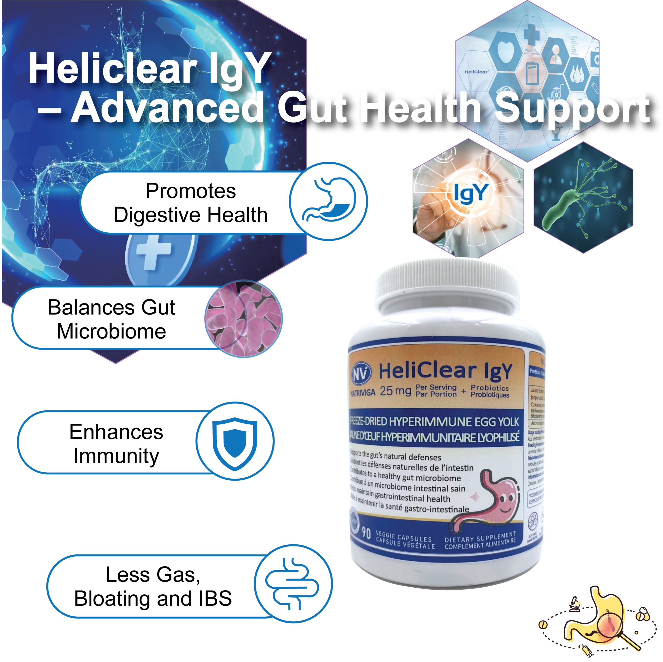Heliclear IgY & Probiotics - Advanced Gut Health Support & Key Functions