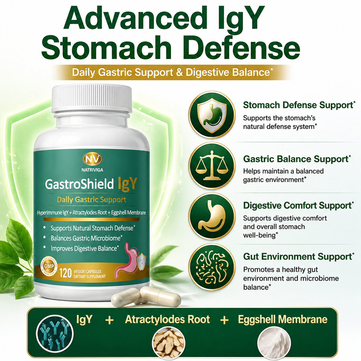 NATRIVIGA GastroShield IgY: Daily Gastric Wellness Support with Hyperimmune IgY, Atractylodes Rhizome & Eggshell Membrane - Image 2