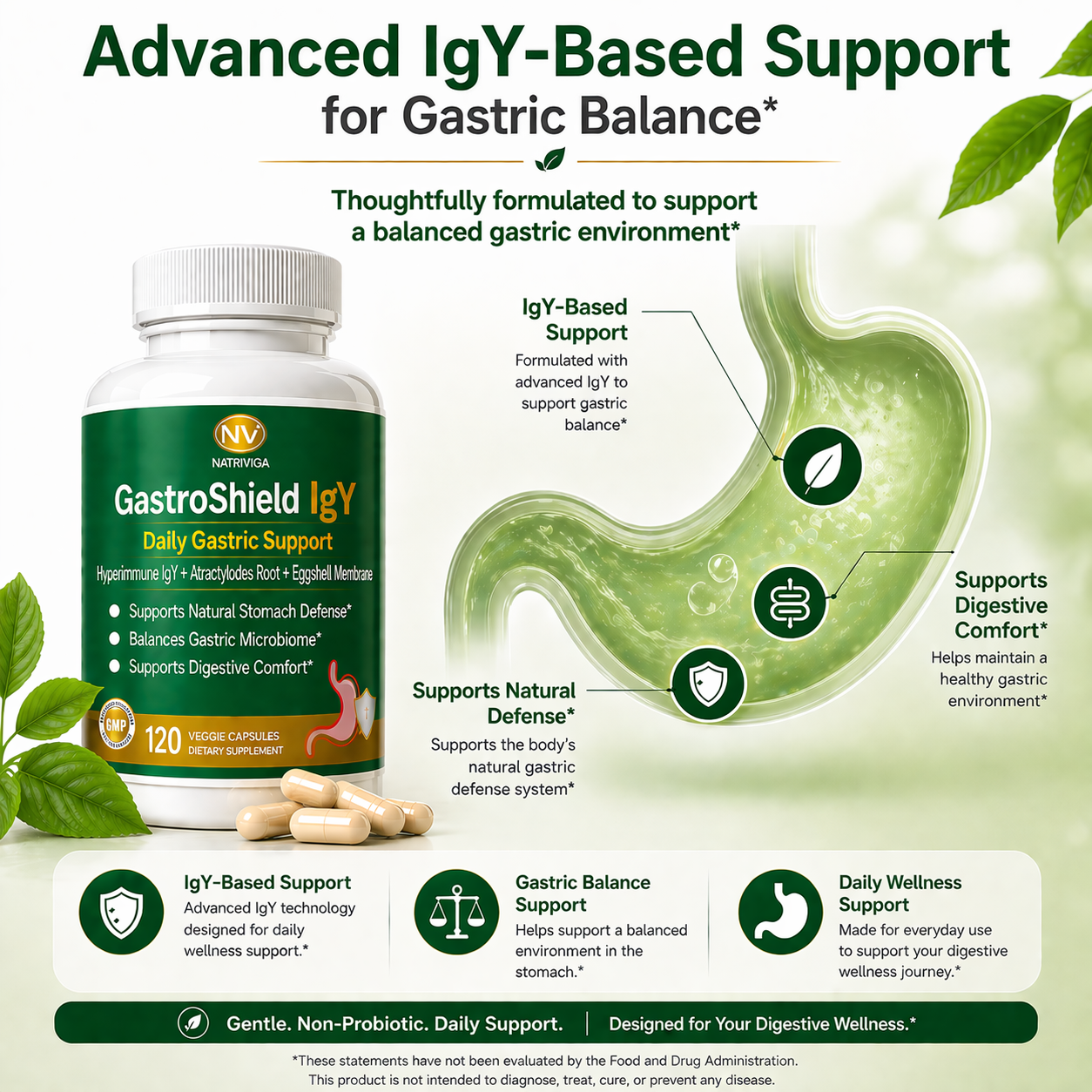 NATRIVIGA GastroShield IgY: Daily Gastric Wellness Support with Hyperimmune IgY, Atractylodes Rhizome & Eggshell Membrane - Image 4