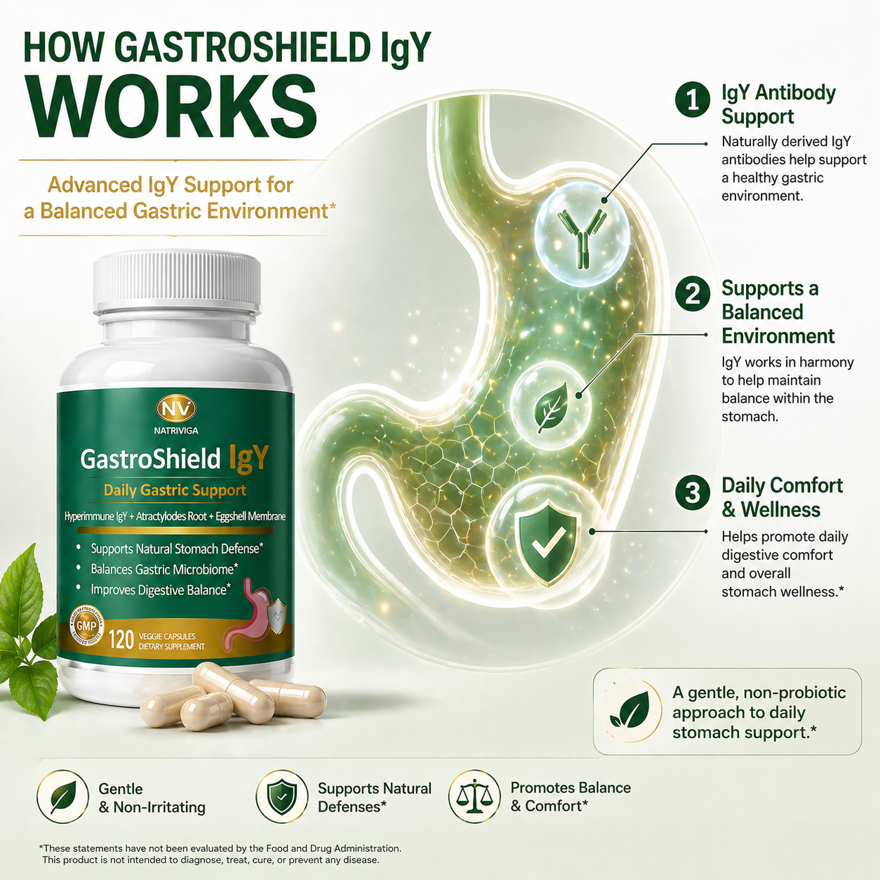 NATRIVIGA GastroShield IgY: Daily Gastric Wellness Support with Hyperimmune IgY, Atractylodes Rhizome & Eggshell Membrane - Image 5