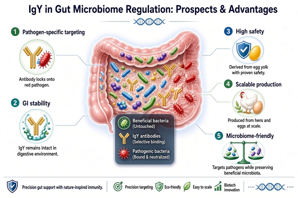 IgY in gut microbiome regulation: prospects & advantages